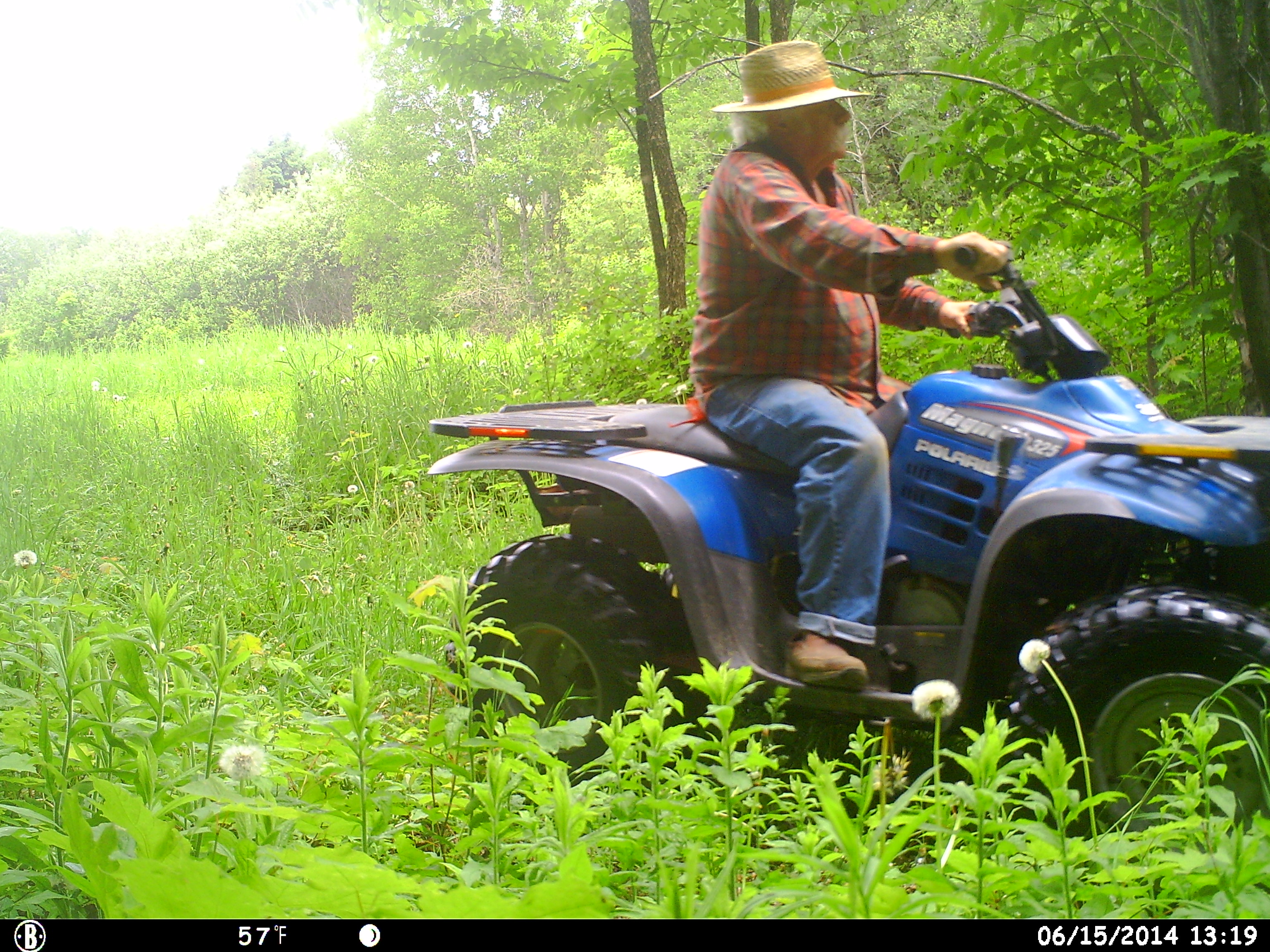 Photos By Trail Camera