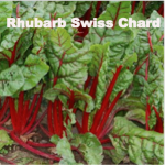 Variety: Swiss Chard Name: Rhubarb Swiss Chard Color: Bright Red Stems with Dark Green, Red-Veined Leaves Size: Savoyed Medium Leaves Taste: Sweet Celery-like Stalk, Juicy